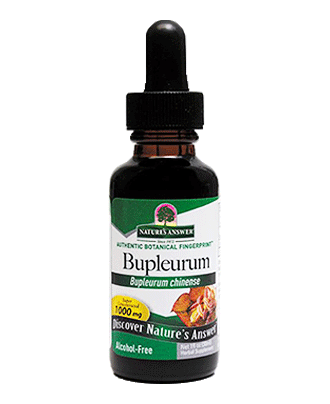 Bupleurum