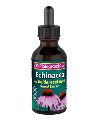 Echinacea
