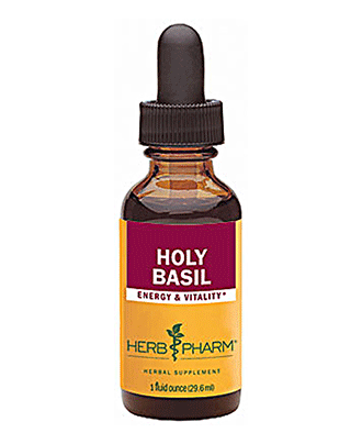Holy Basil