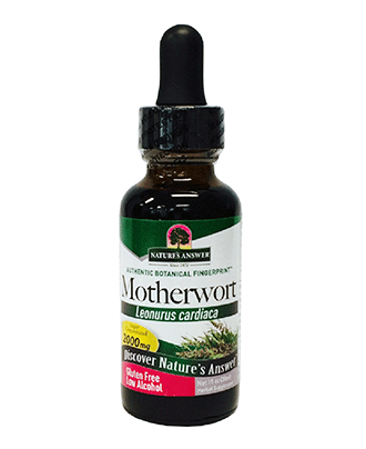 Motherwort