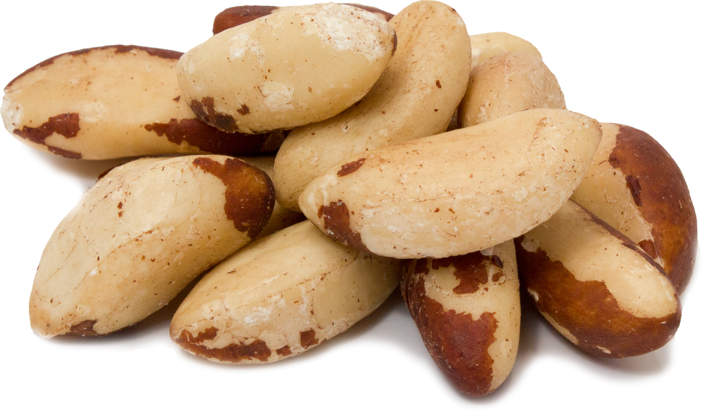 Raw Brazil Nuts Unsalted 1 lb (454 g) Buy Raw Brazil Nuts Nutrition